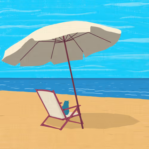 Summer Holidays