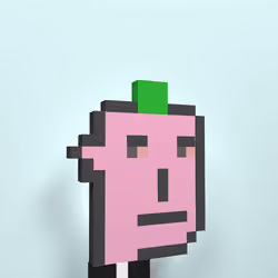 PunksEvolved#5067