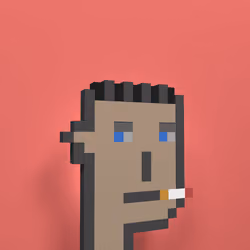 PunksEvolved#2654