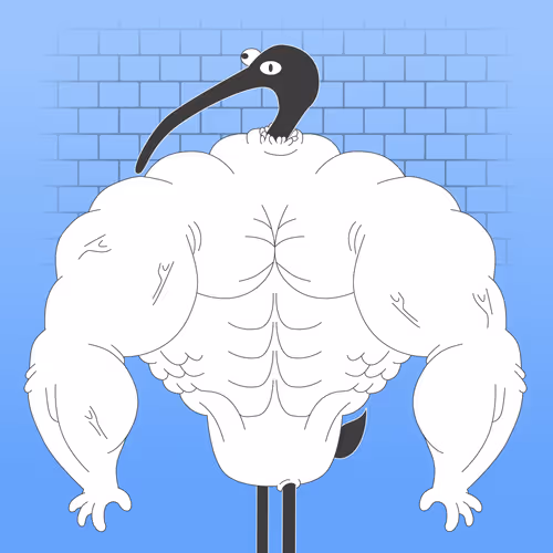 Bench Chicken #1