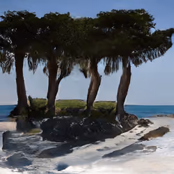 Island #23 [Rare 4 Tree Sand Island]