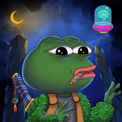 PEPE EXPLORER #6302