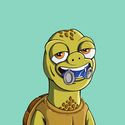66
