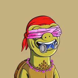 141