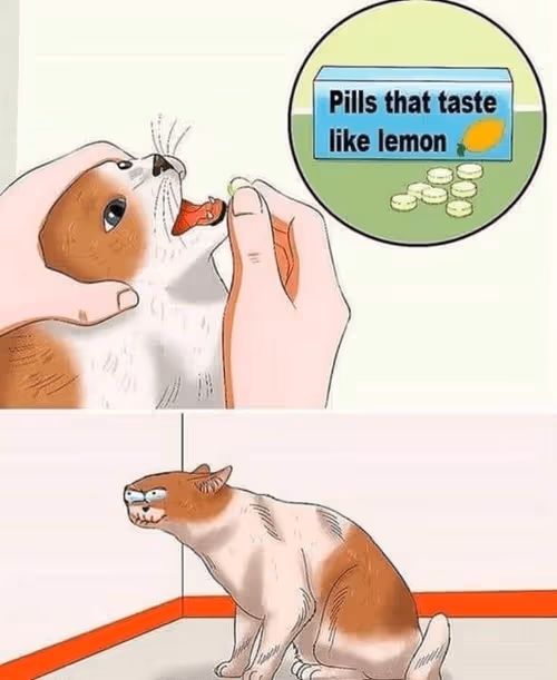 Item #19000002 Media