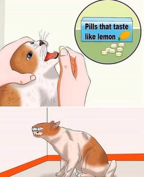 Item #19000001 Media