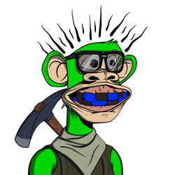 51