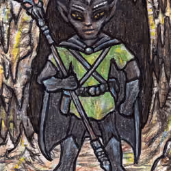 Male Drow Wizard