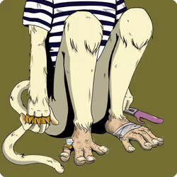 3816