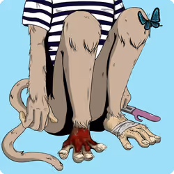 806