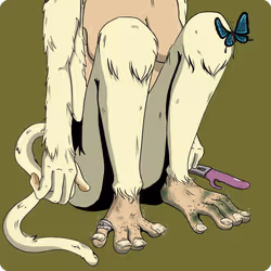 341