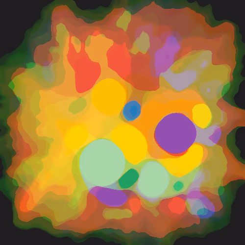 Embrion