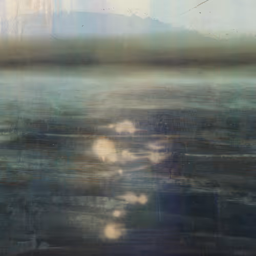Sea Jasmine Night Vision Laguna Blanca Sprite Burden By Petra Cortright
