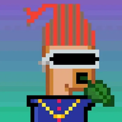 Fliping Punk