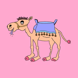 Chilled Camel #67