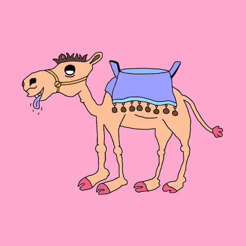 Chilled Camel #67