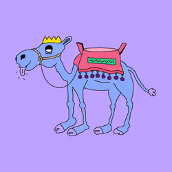 Chilled Camel #61