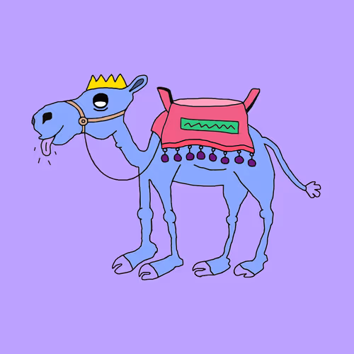 Chilled Camel #61