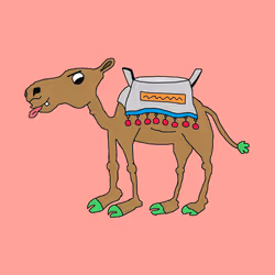 Chilled Camel #11