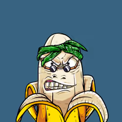 Peeled Mad Banana #77
