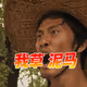 我草泥马