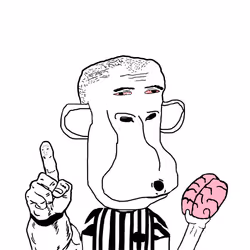 Wojape #802