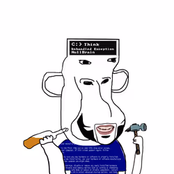 5338