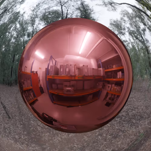 Public Assembly V3