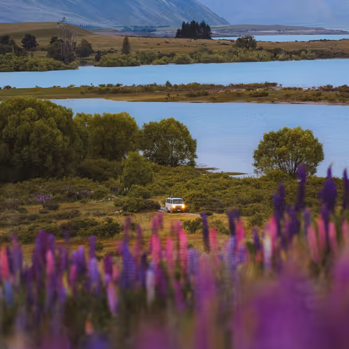 Ethan Abitz Gratitude