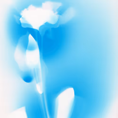 Things that someone left behind  Photogram