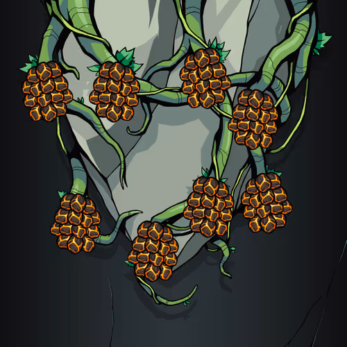Bored Grapes Vines