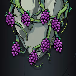 Vine #197 