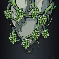 Vine #157 