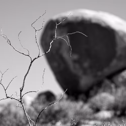 Soul of a Desert Landscape