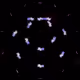 Audiovisual Études