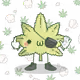 206