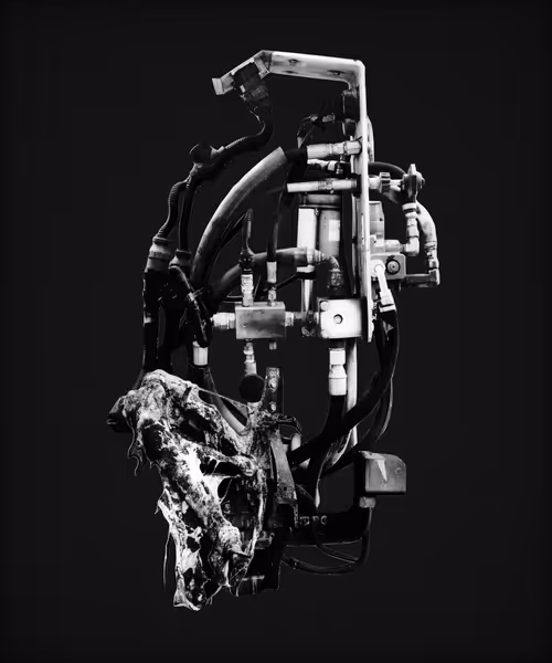 Item #4239545716 Media