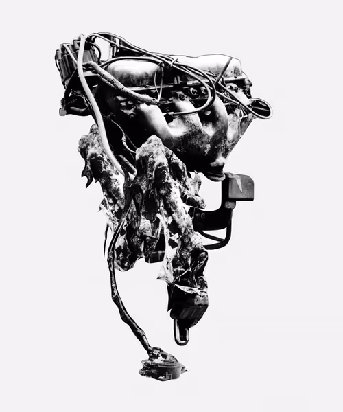 Item #1009452593 Media