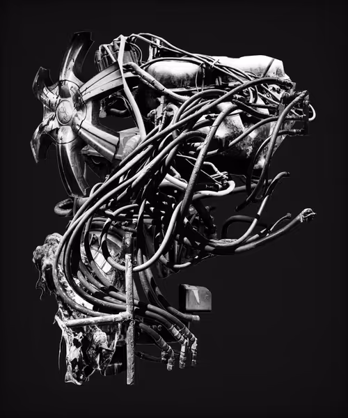 Item #385038737 Media