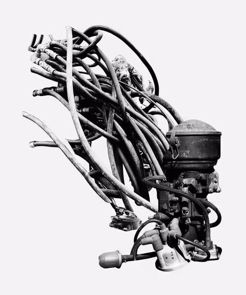 Item #1753428494 Media