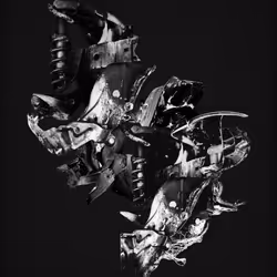 772047806