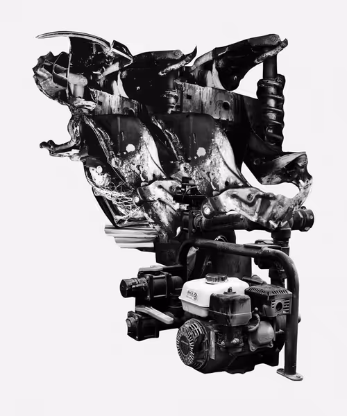 Item #3087418255 Media