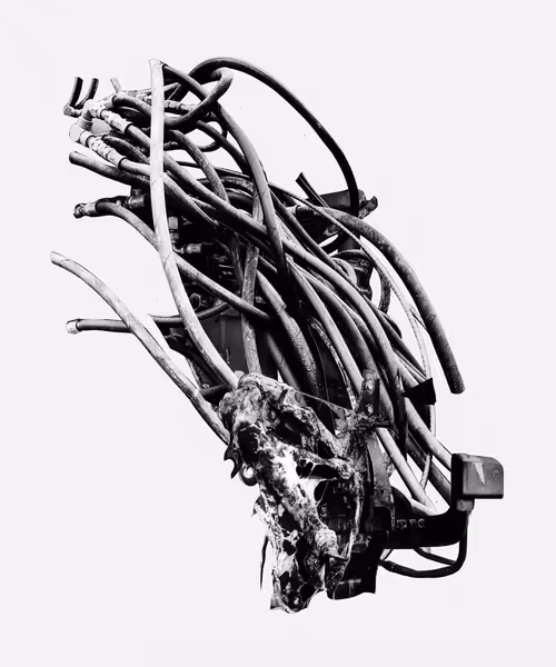 Item #420988257 Media