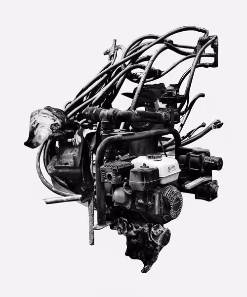 Item #3237960384 Media