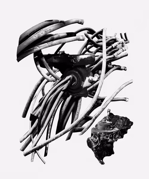 Item #743588961 Media