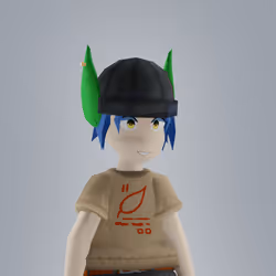Item Media