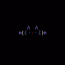 cats #8338