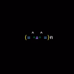 cats #9948