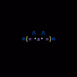 cats #6375