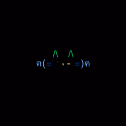 cats #9075